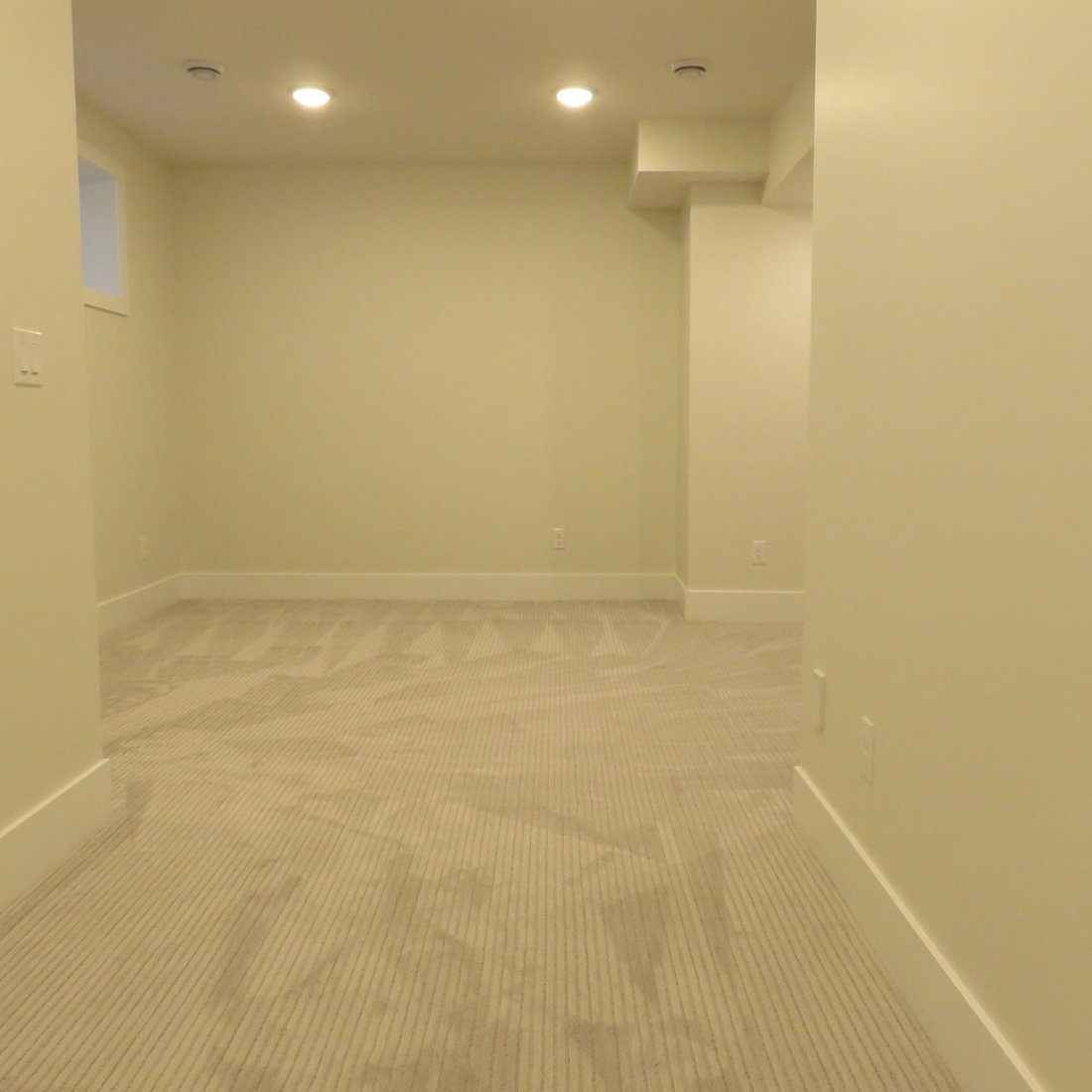 Mount Pleasant Basement Dev