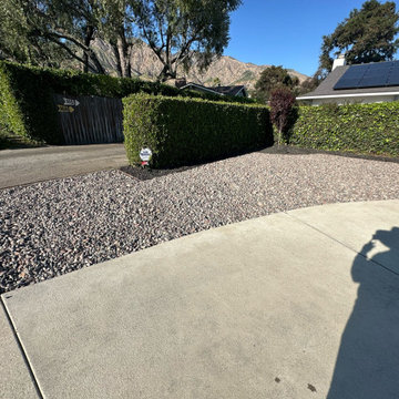Full EE Backyard