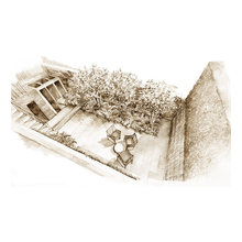 scetch
