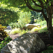 Front Yard garden ideas