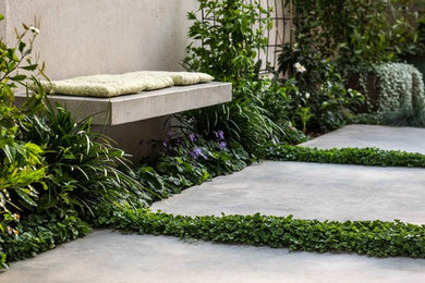 This is an example of a contemporary drought-tolerant courtyard landscaping in Los Angeles.