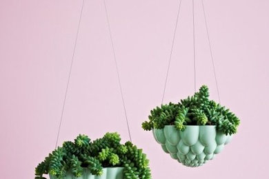 Ceramics for Colorful People - Hanging Planters