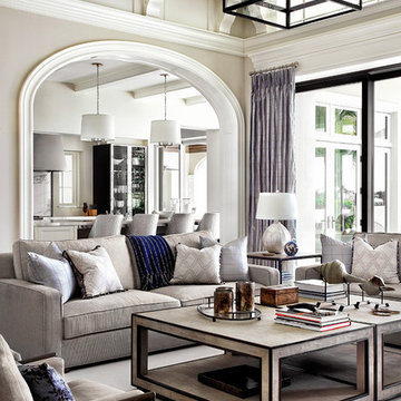 Transitional Living Room