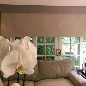 Roller Shades