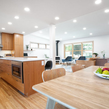 Project 3680-1 Minneapolis Scandinavia Modern Whole House Renovation