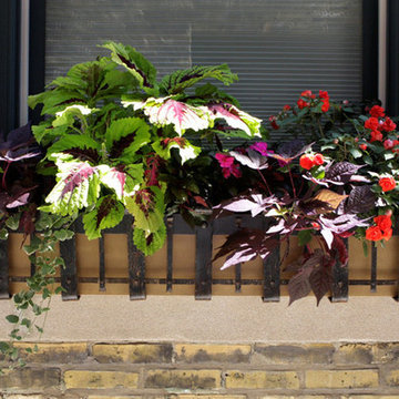 Window Box with brass insert