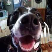 Foto von Tammy Norris