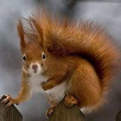 Tara Moore's photo