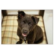 Joelyn Welch's photo