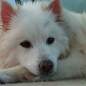 Beth Rayburn's photo