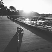 Katie Grant's photo