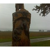 Timothy Mark's photo
