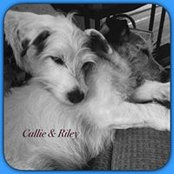 Susie Cobb's photo