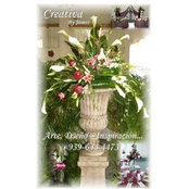 Floristeria Creativaさんの写真
