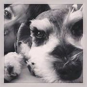 Terry Hoxie's photo