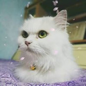 Nicky Xu's photo
