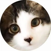 Foto von Tomomi Inoue