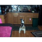 Jason Bachtel's photo