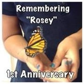 Michelle Acosta's photo