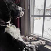 Sharon Ilgenfritz's photo