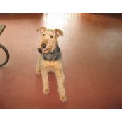 Judy Brauns's photo