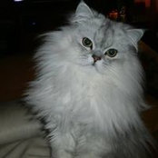 Maria Allen's photo
