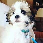 Heather Sellitto's photo