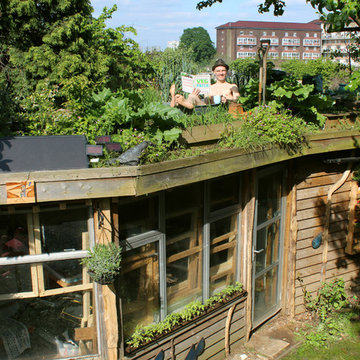 Allotment Roof Shed