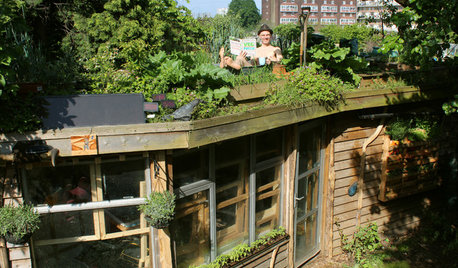 Room of the Week: An Award-winning Shed Makes a Peaceful City Haven