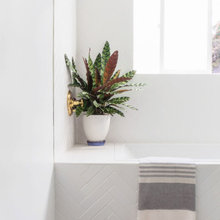 Backsplash