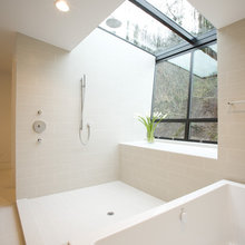 bsthroom shower modern