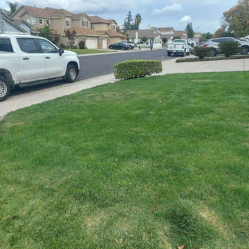 Landscape Design - Manteca, CA