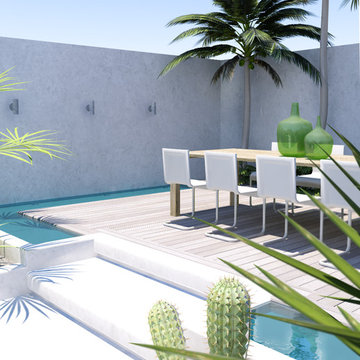 Contemporary tropical backyard