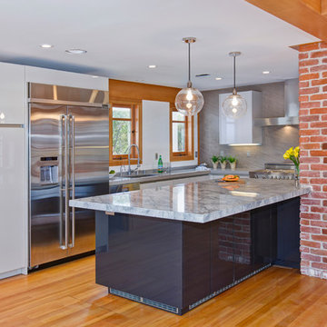 Home of the Year 2016 - Modern Kitchen Historical Home
