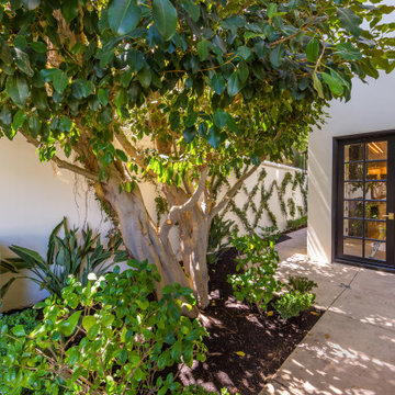 Beverly Hills Modern