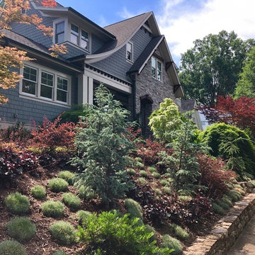 Front Garden Update: May, 2019