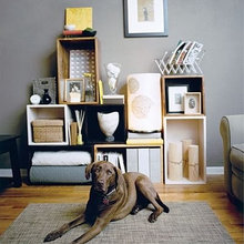 storage/display