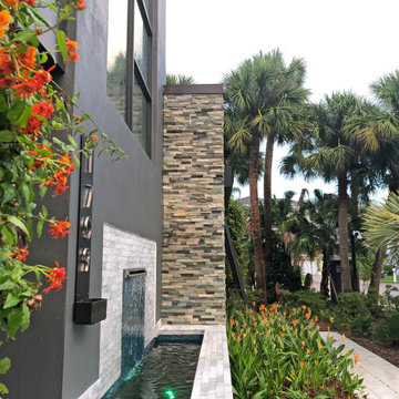 Tropical Modern