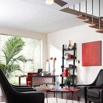 Ceiling Fans