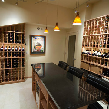 Casual contemporary/modern wine cellar