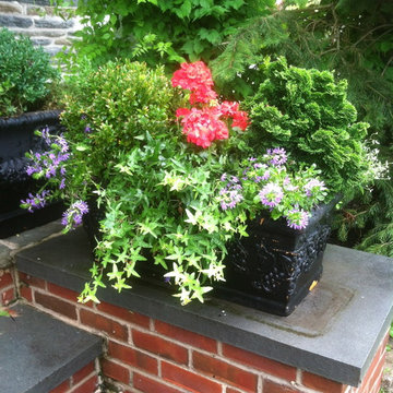 Container Gardens