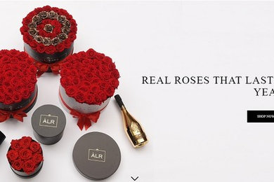 Preserved Real Roses in a Box That Last a Year
