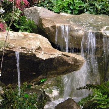 Show Garden