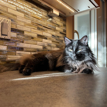 Interior Remodel: Arizona kitchen cat