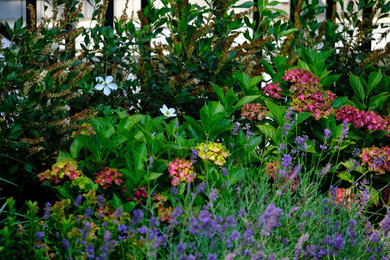 バンクーバーにあるコンテンポラリースタイルのおしゃれな庭の写真