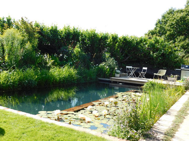 by Woodhouse Natural Pools