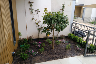 Modelo de jardín contemporáneo en patio
