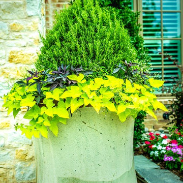 Award Winning Outdoor Living | North Dallas Landscape Design