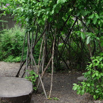 Natural Playscapes