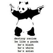 Loic BENATTAR's photo